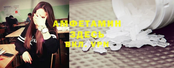 трава Сатка